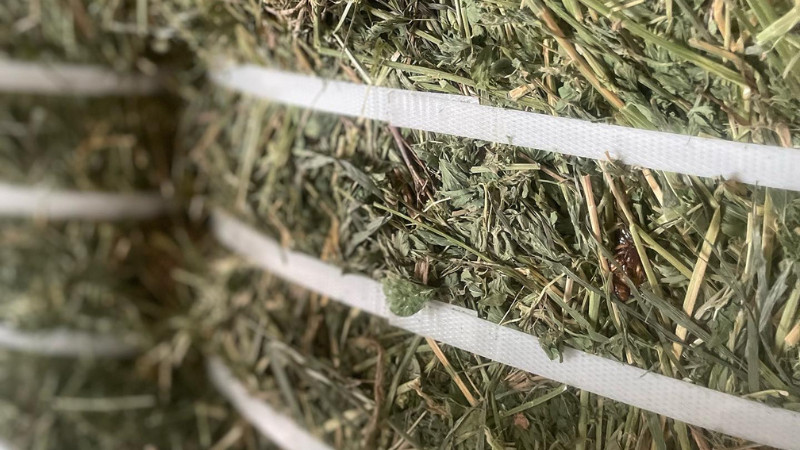 Now Stocking Compressed Alfalfa Bales!