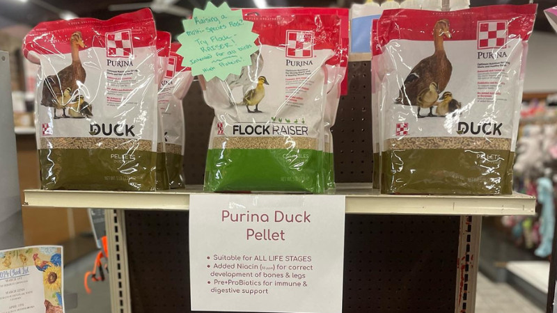 Purina Duck Pellet