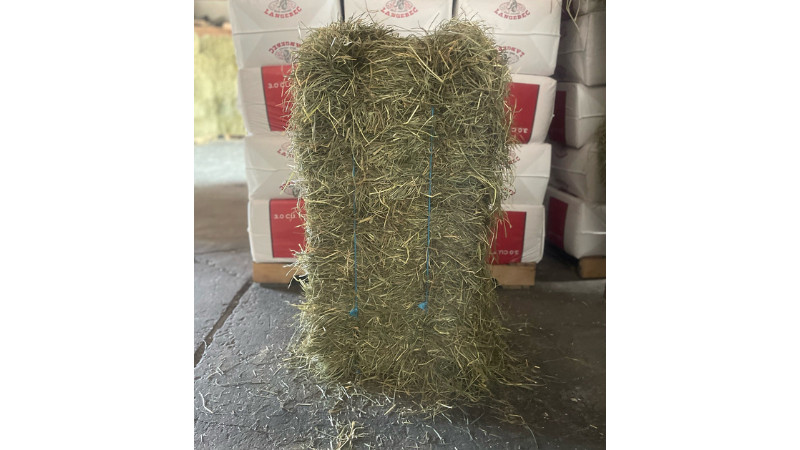 Fresh 2nd Cutting Canadian Hay!