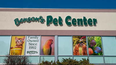 Bensons Pet Center - Pittsfield Bensons Pet Center - Ny Ma Bensons Pet Center