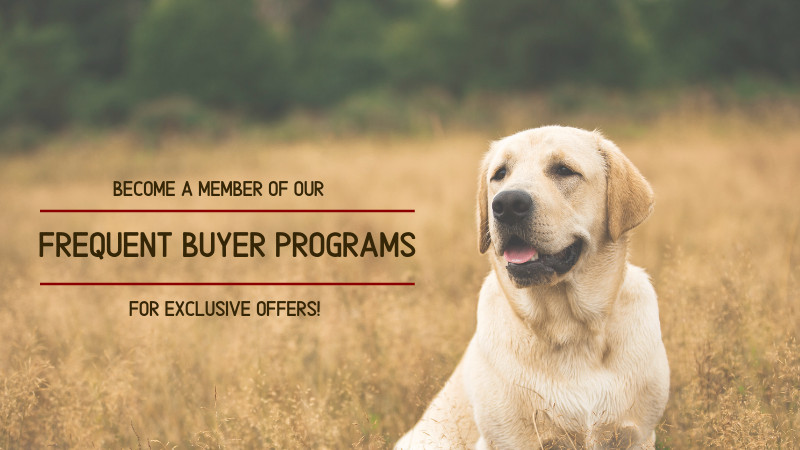 Frequent Buyer Programs