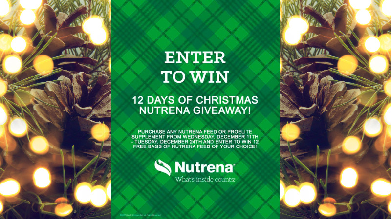 12 DAYS OF CHRISTMAS NUTRENA GIVEAWAY!