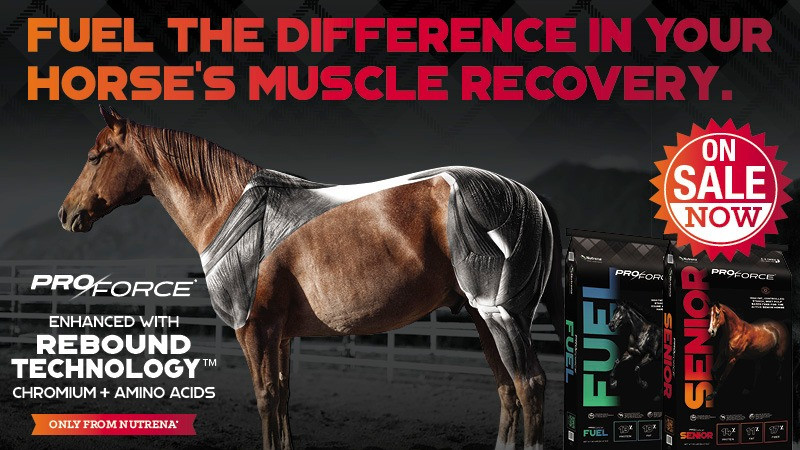 $3 OFF Nutrena ProForce Horse Feeds