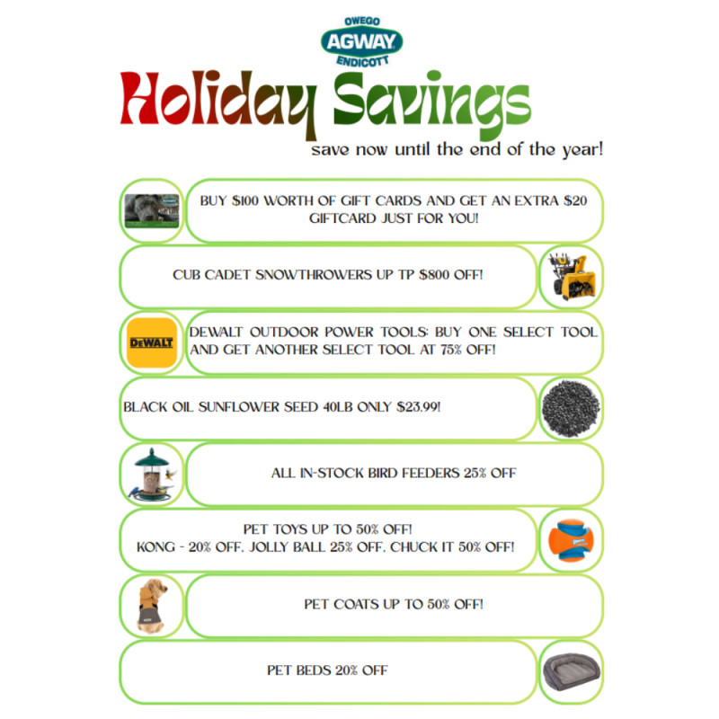 🎄 Holiday Savings Are Here!