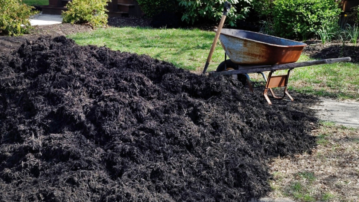 Fall Garden Tips