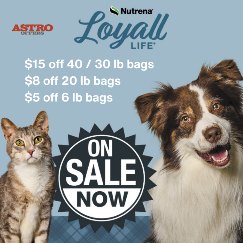 Save on Loyall Life Pet Food — Limited Time!