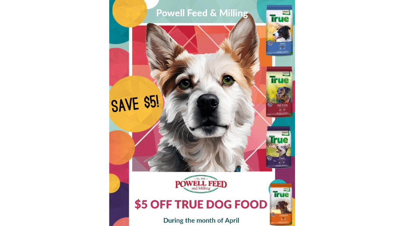 True Dog Food Sale