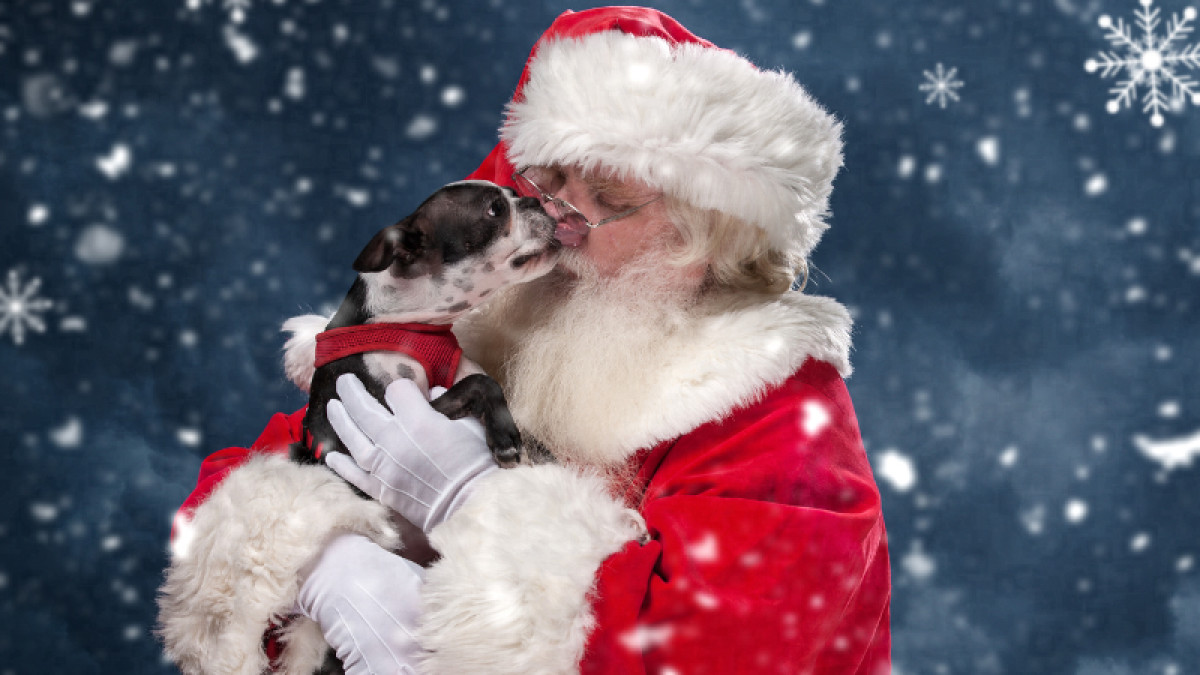 Pet Photos with Santa is Back!