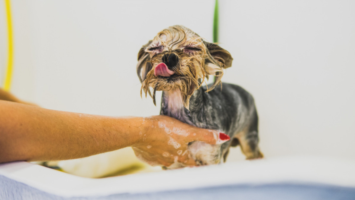 Wash Em' Up Wednesday - Tanger Location!