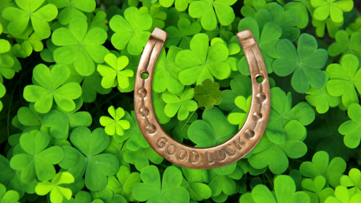 Luck of the Paw Giveaway! All March Long!