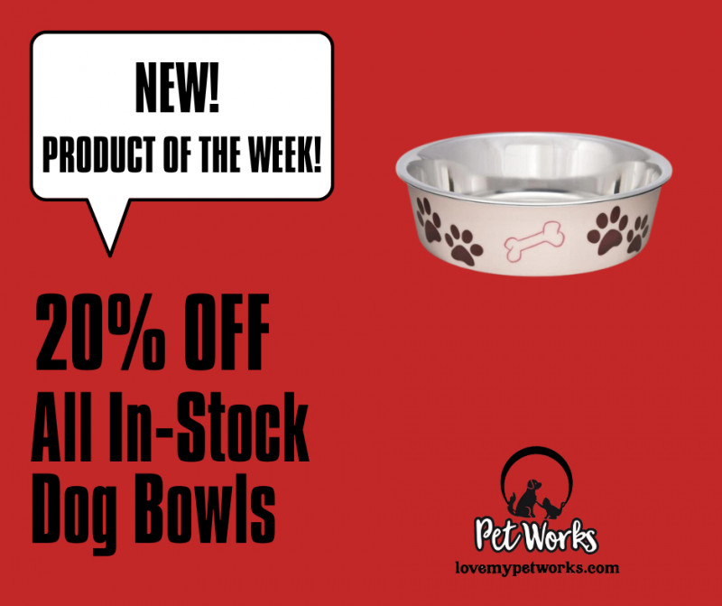 20% off In-Stock Dog Bowls