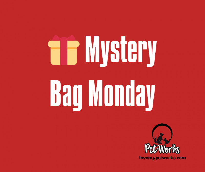 🎁 Mystery Bag Monday