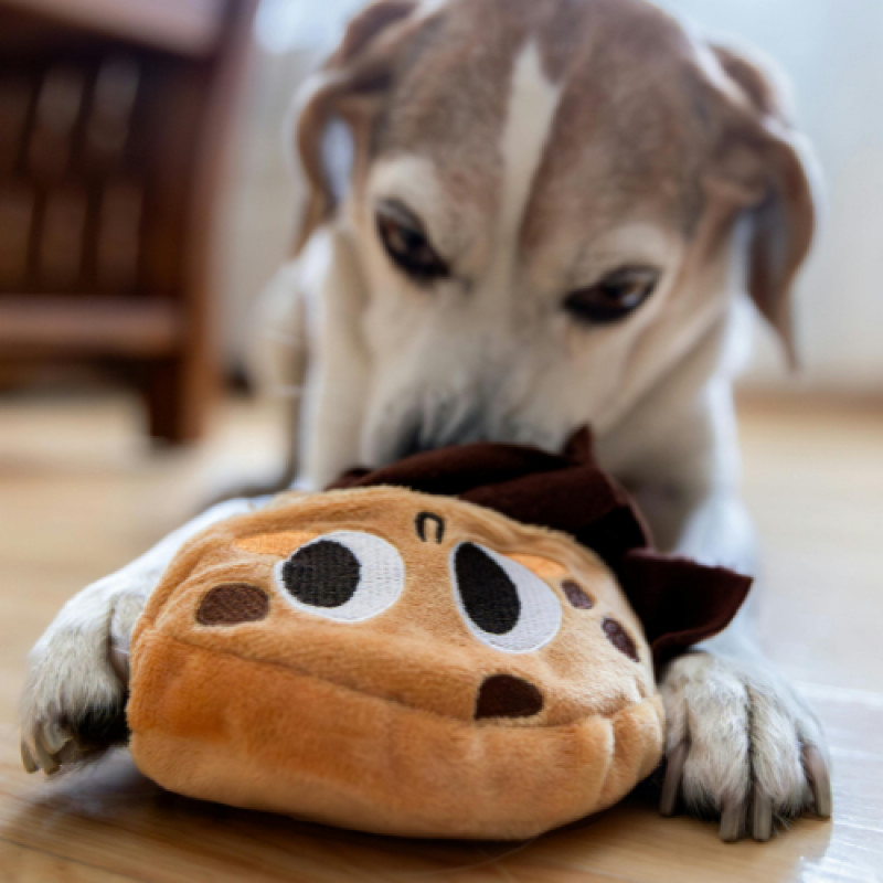 🎁 Toy Trio Special