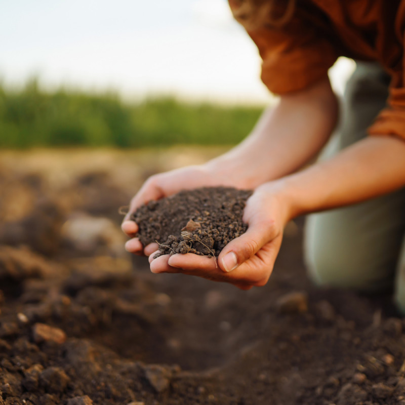 Peatland Organic Soils - 4 Bags for $12.00