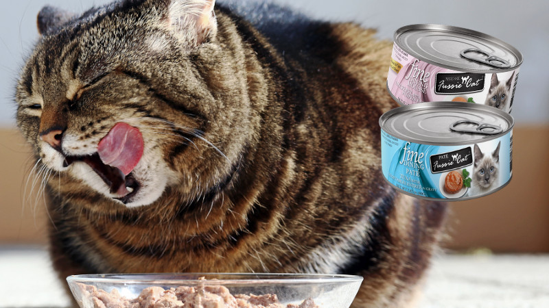 Fussie Cat | All Fine Dining and Mousse Canned Cat Food - $0.79 Each!