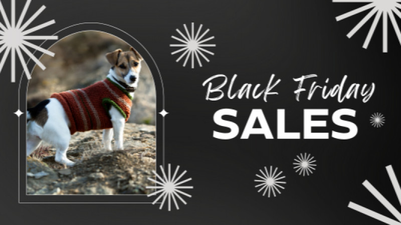 🎉 Black Friday Madness at Healthy Pet Center! 🎉