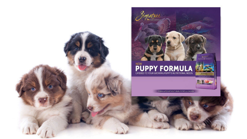 Zignature | Save on Puppy Bundles!