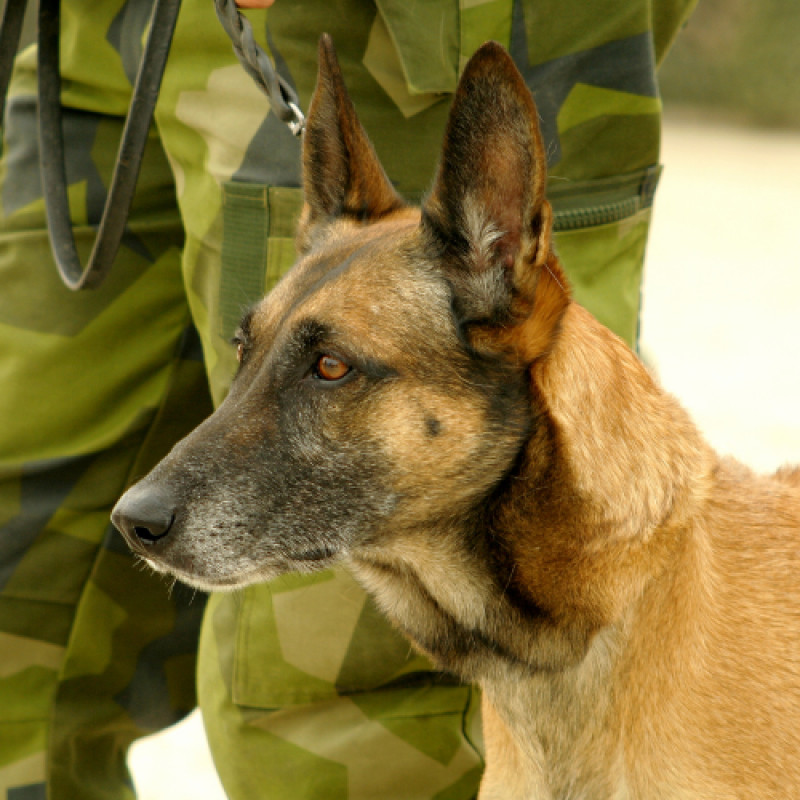 10% Military Discount