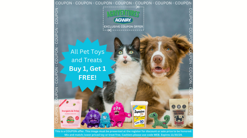 All Pet Toys and Treats Buy 1, Get 1 FREE