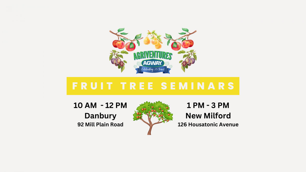Fruit Tree Seminars