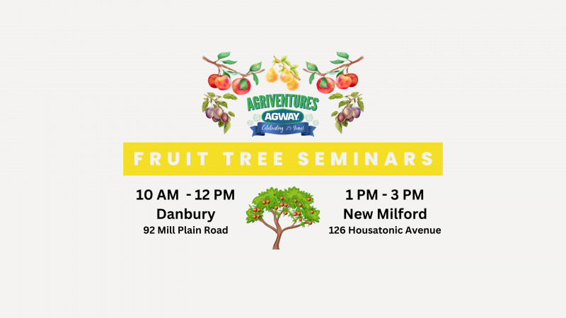 Fruit Tree Seminars