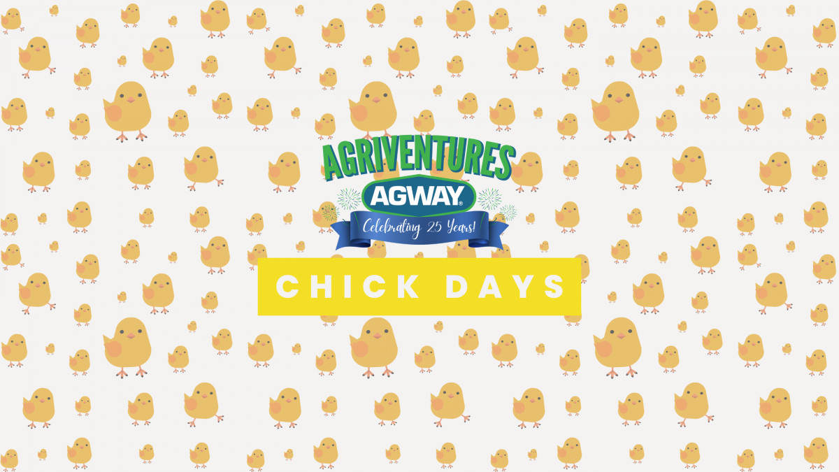 New Milford Chick Days Sales Event