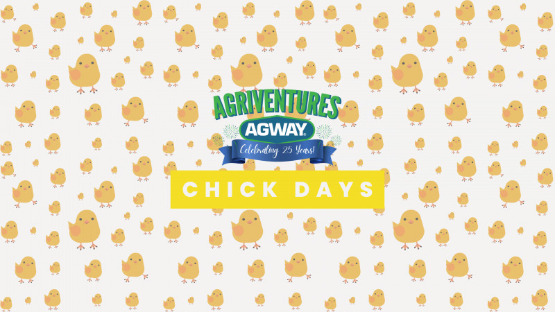 Danbury Chick Days and Fun for the Whole Family!