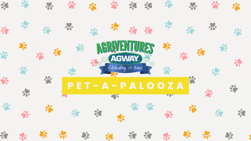 Danbury Pet-A-Palooza