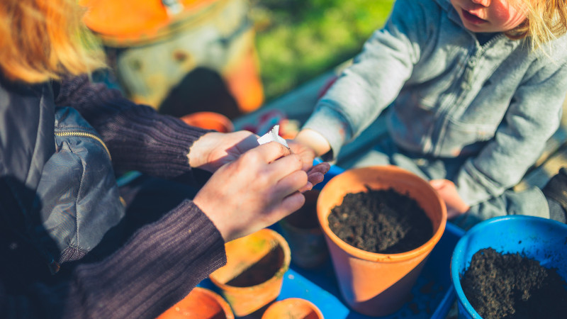 Free Winter Seed Sowing Workshop