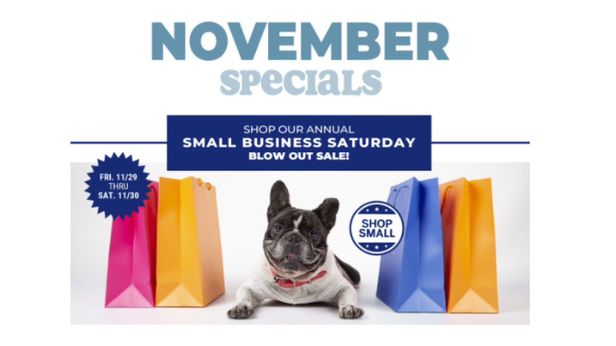 Small Business Saturday Blowout Sale!