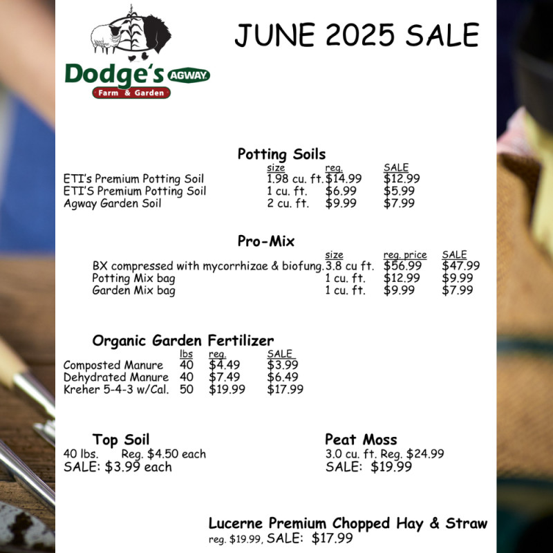 🌿 Our June 2025 Flyer is Here! 🌿