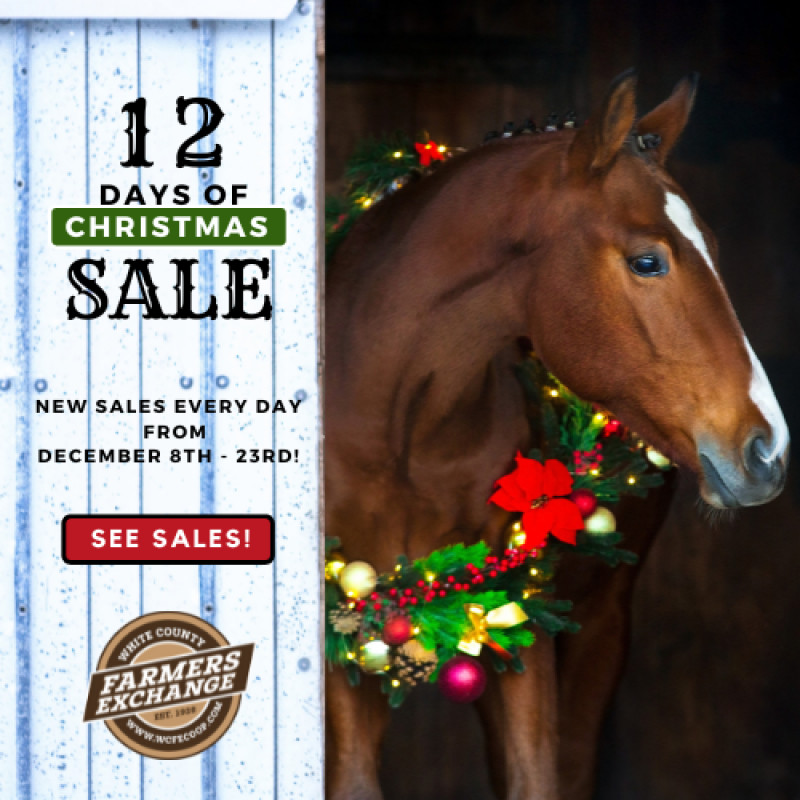 12 Days of Christmas Sales!