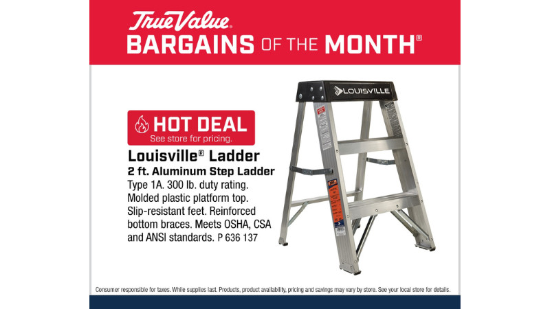 Louisville® Ladder 2 ft. Aluminum Step Ladder