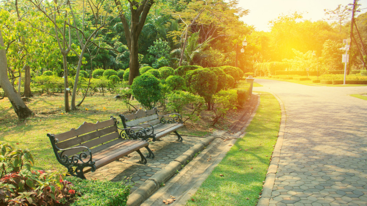 Loudoun County Master Gardeners Garden Clinics