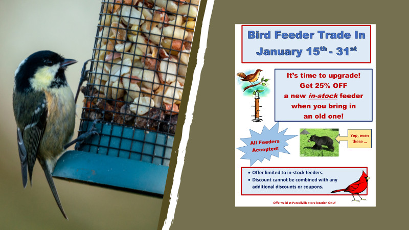 Bird Feeder Trade In