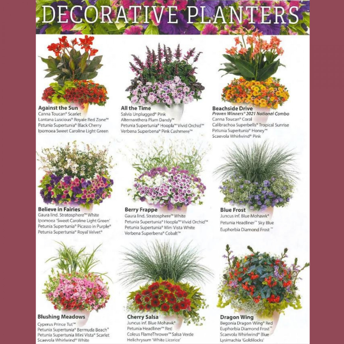 Decorative Planters
