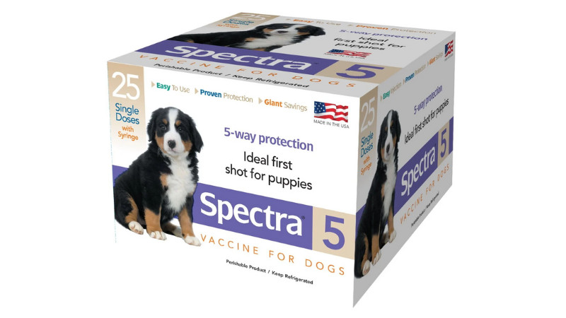 Spectra 5 Savings