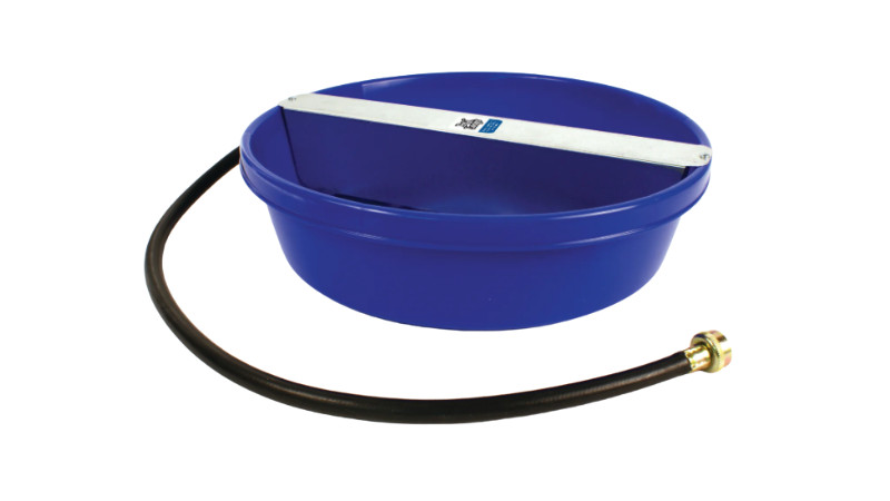 Everfull Bowl Savings