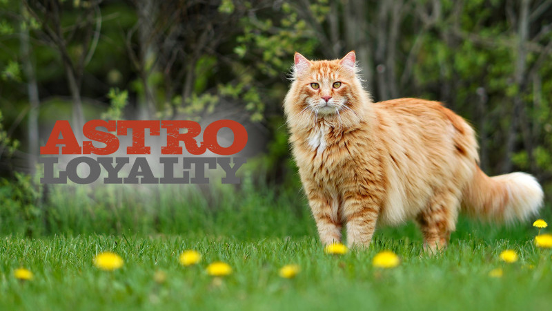 May Astro Specials