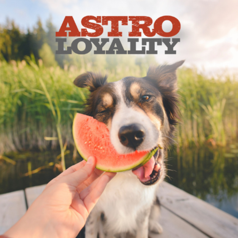 August Astro Deals