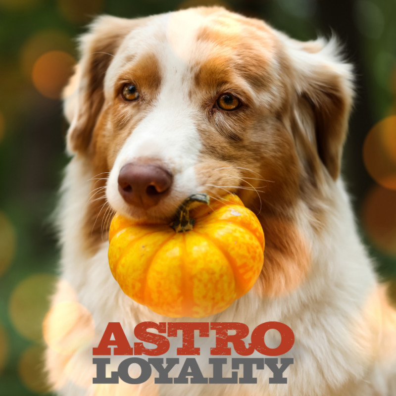 Nov Astro Deals