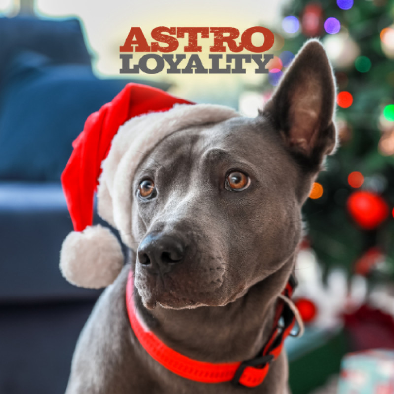 December Astro Loyalty Deals