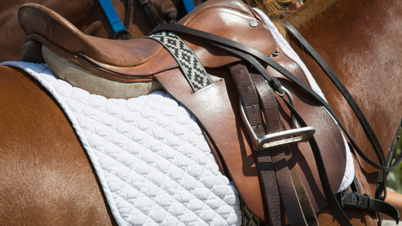 Horse Riding Pad Savings