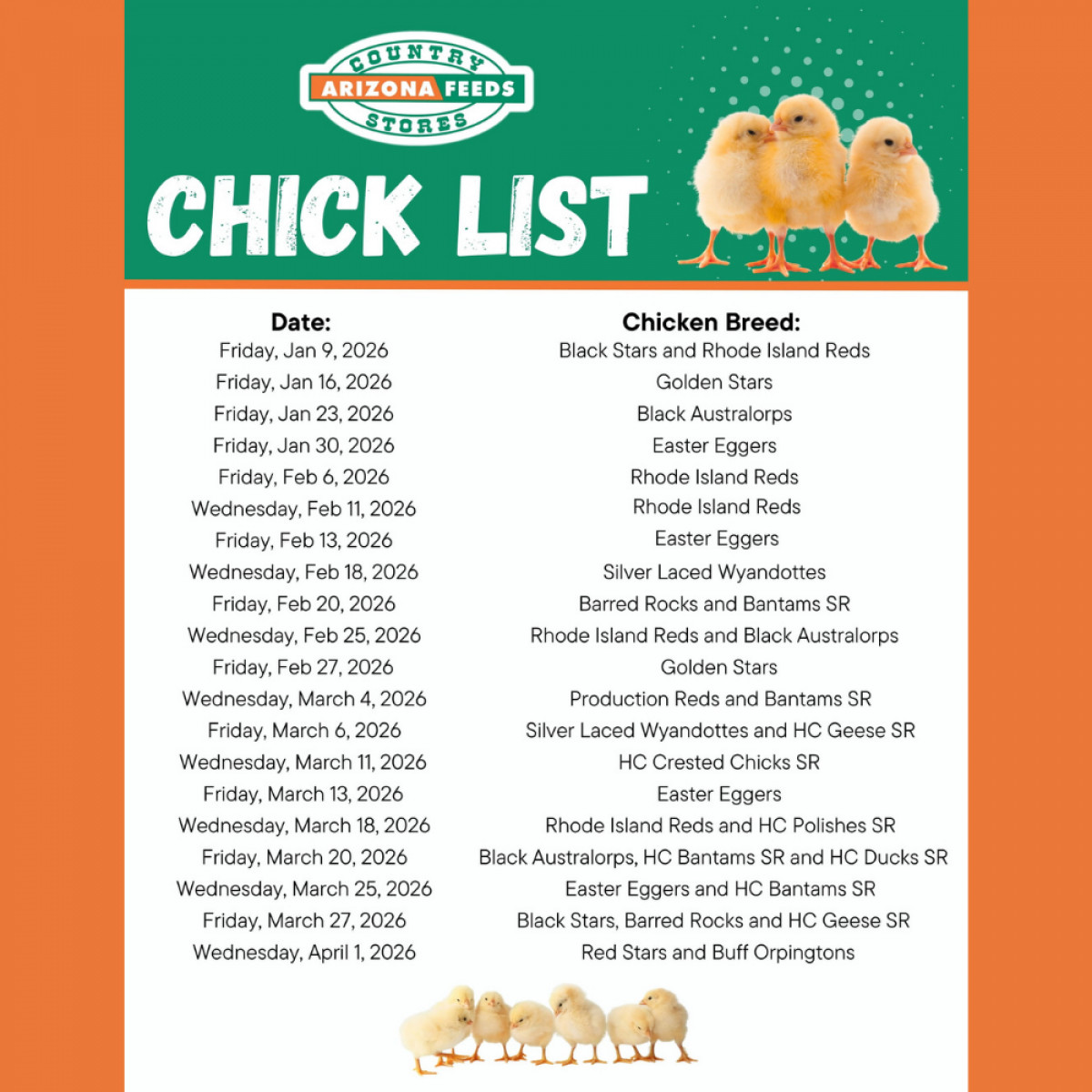 North Store Chick List: January - April 2026