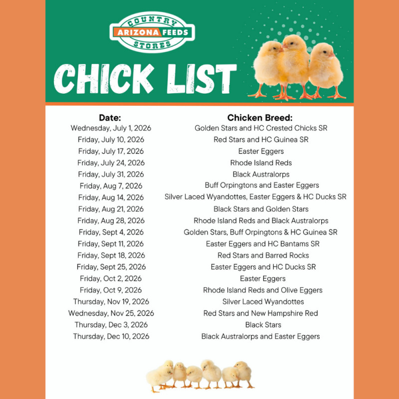 North Store Chick List: July - December 2026