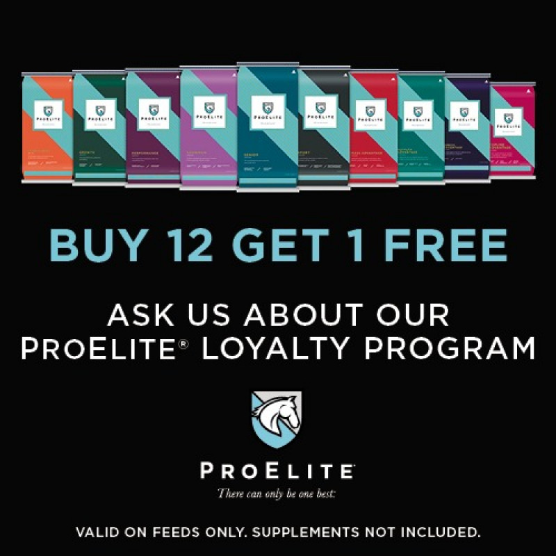 Buy 12, Get 1 Free ProElite® Horse Feeds