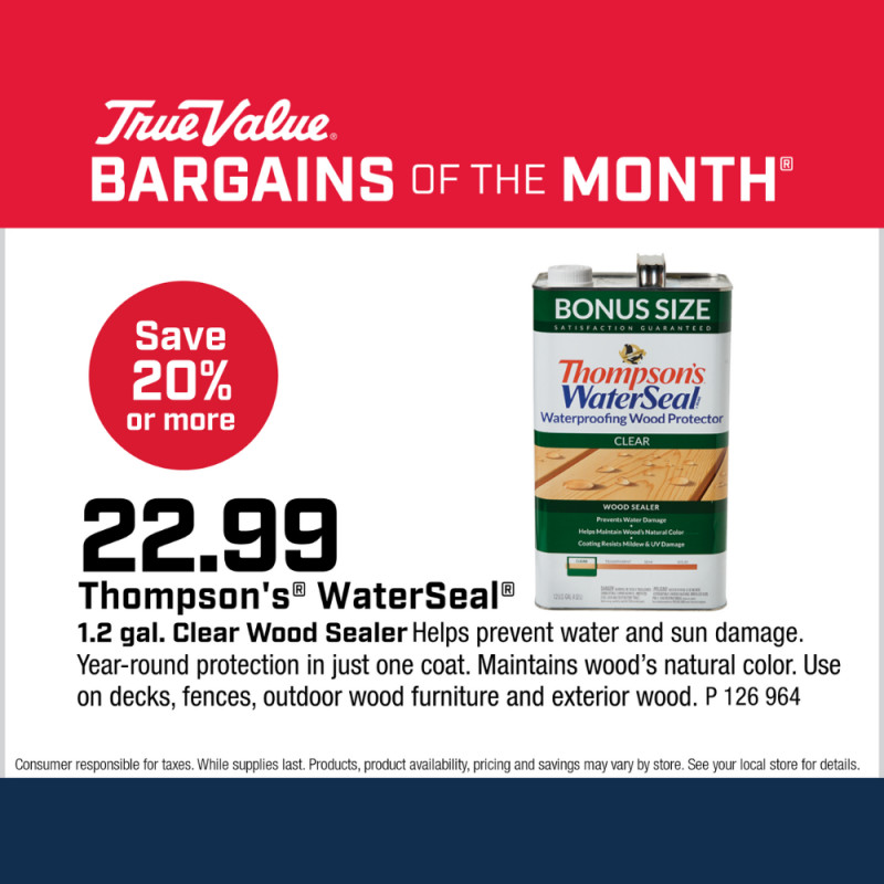 Thompson's® WaterSeal® 1.2 gal. Clear Wood Sealer $22.99