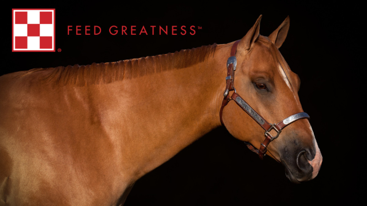 Purina E3 Equine Educational Event!