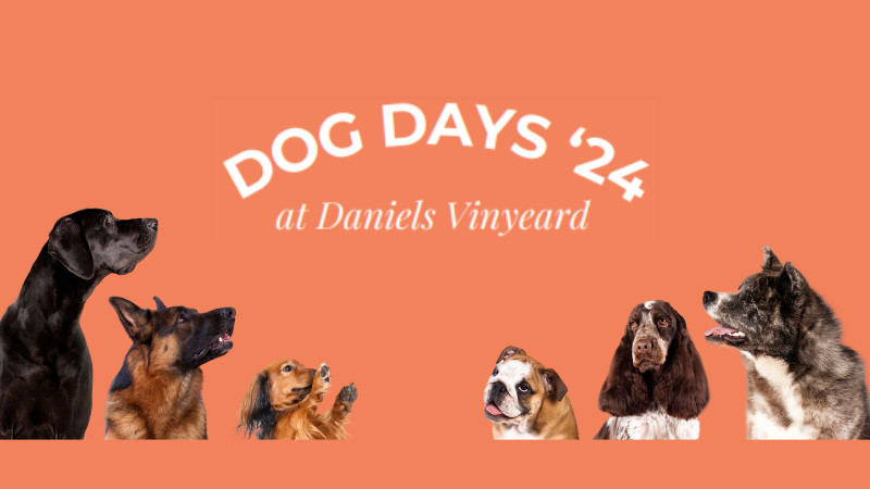 Dog Days '24 at Daniels Vineyard