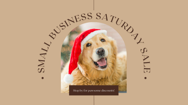 Small Business Saturday